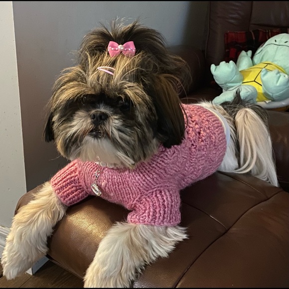 Meet your Posher, Carolyn - Picture 2 of 8